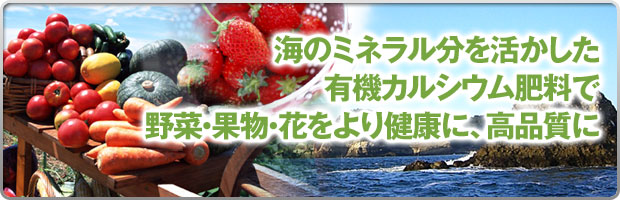 海のミネラル分を活かした有機カルシウム肥料で野菜・果物・花をより健康に、高品質に